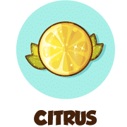 citrus ico
